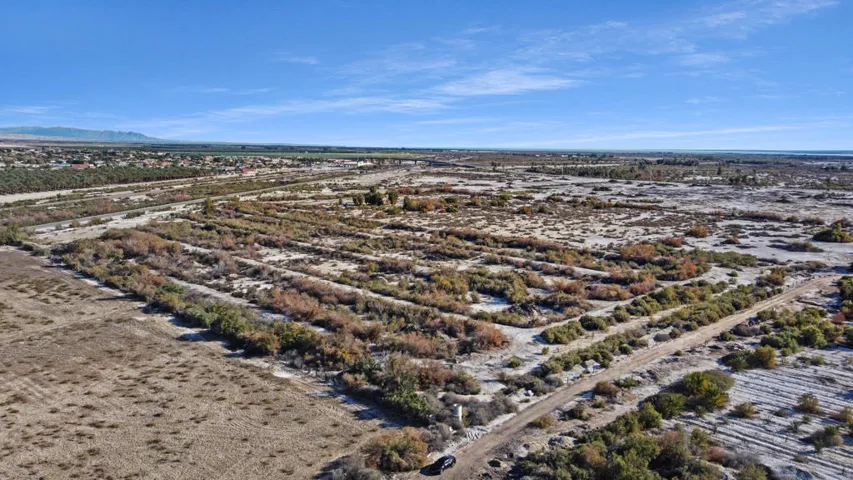 dji_fly_20260118_SE.jpg (1)
