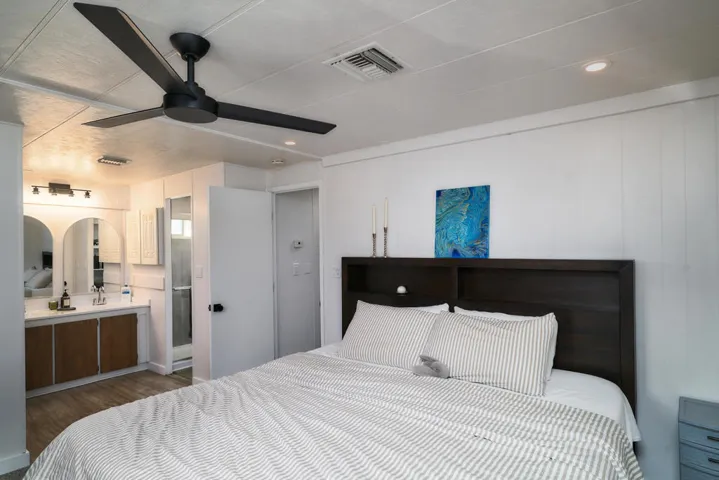Ocotillo 20