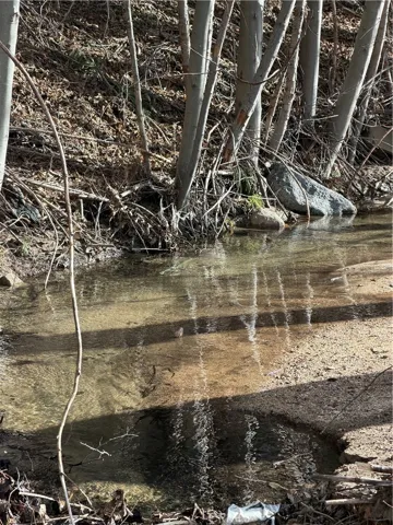 Year round flowing creek runs next to property line