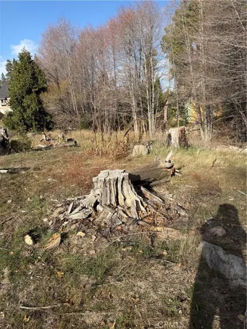 Lot has been cleared of any large timber