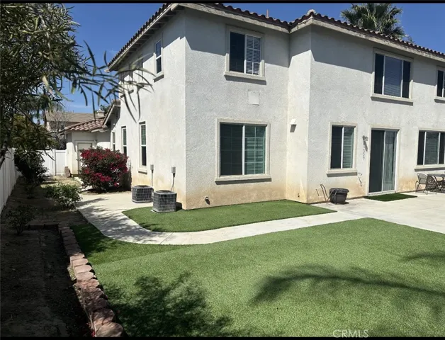 Back yard