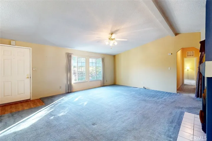 living room with lots of natural light