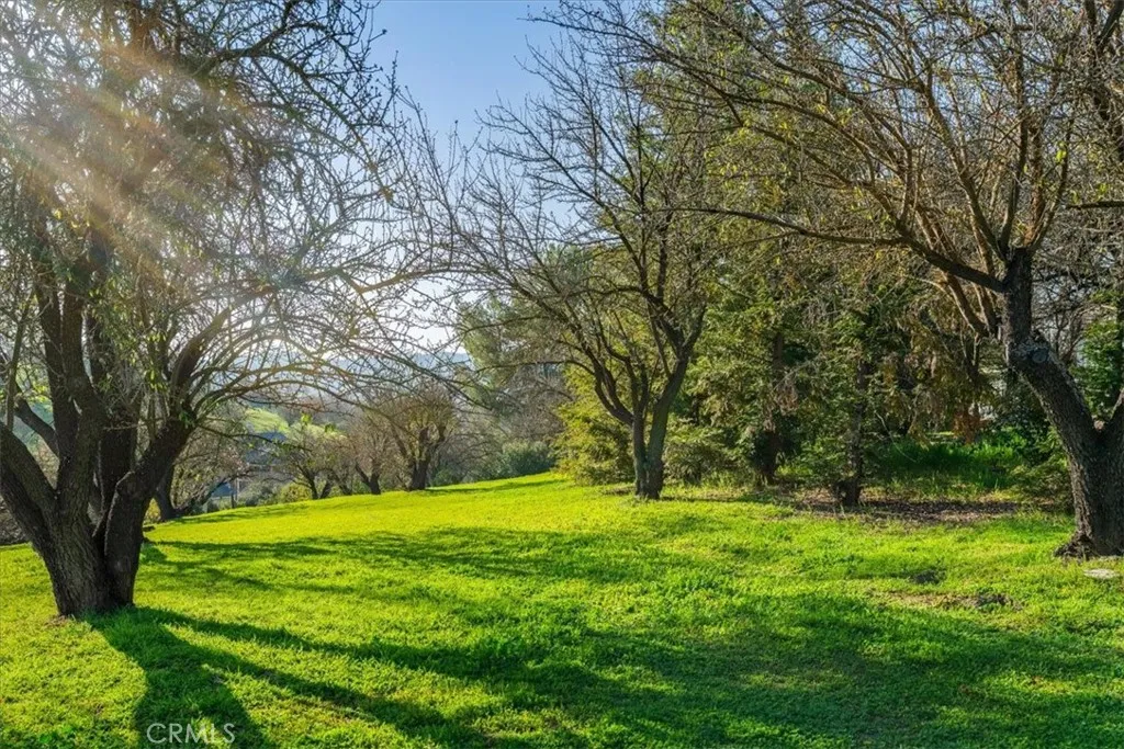 1555 Lyle, Paso Robles, California 93446 home-pic-47