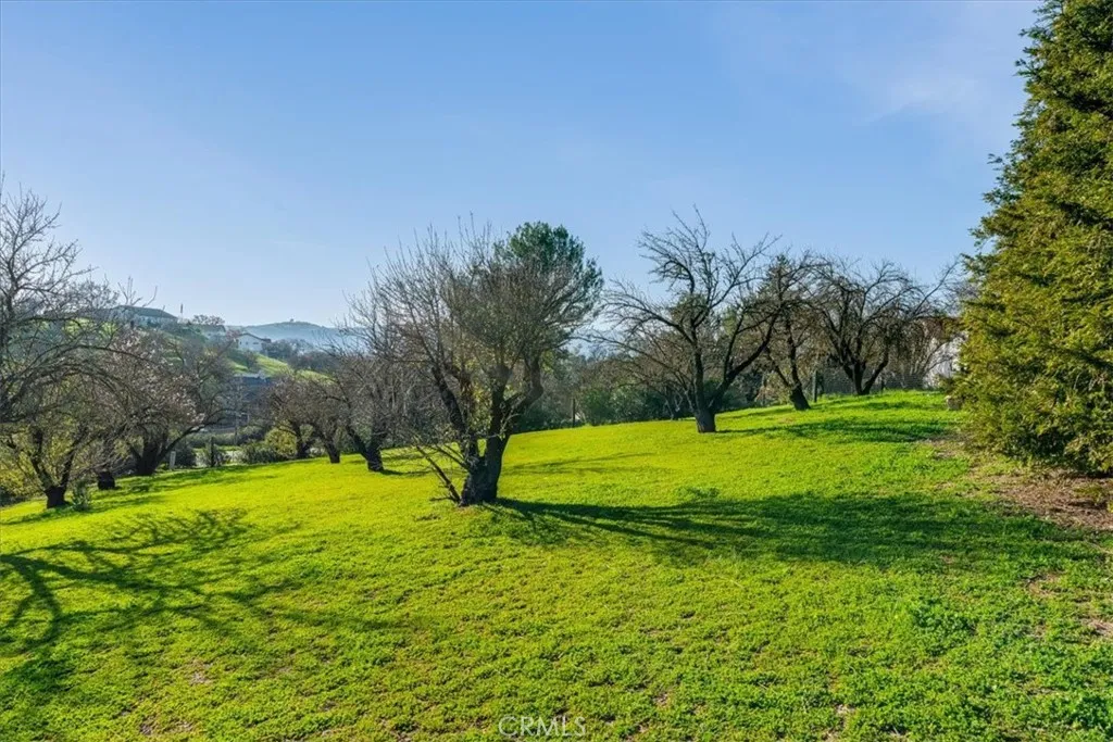 1555 Lyle, Paso Robles, California 93446 home-pic-63