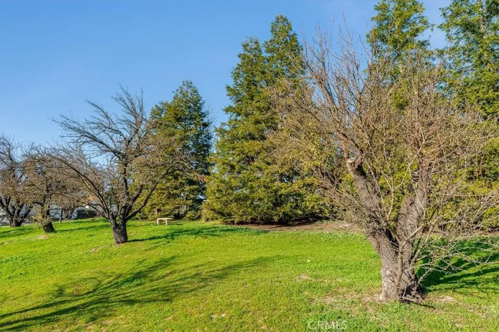 1555 Lyle, Paso Robles, California 93446 home-pic-64