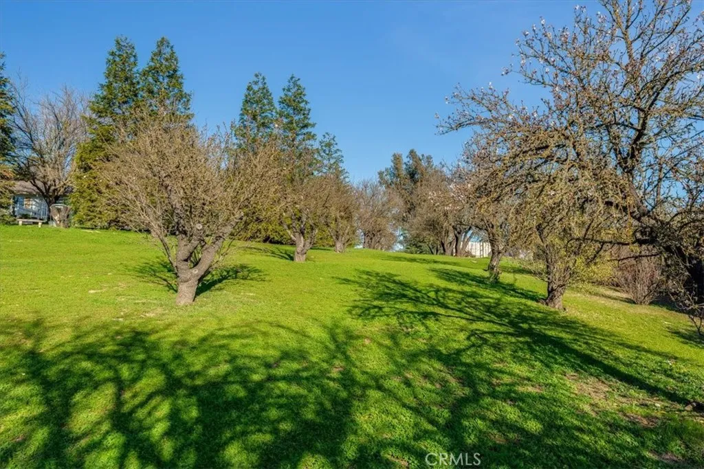 1555 Lyle, Paso Robles, California 93446 home-pic-66
