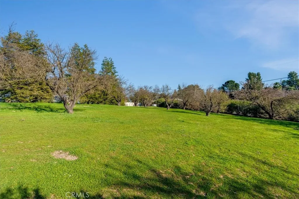 1555 Lyle, Paso Robles, California 93446 home-pic-67