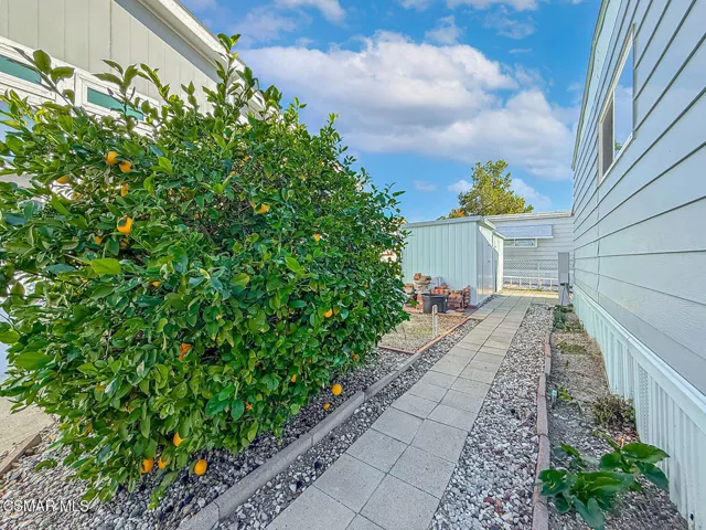 gBackyard and Amenities1