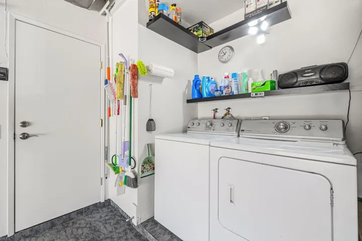 34-web-or-mls-2H8A5115