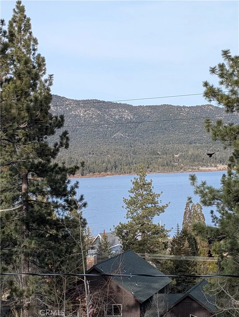 560 Talmadge Road, Big Bear Lake, California 92315 home-pic-5