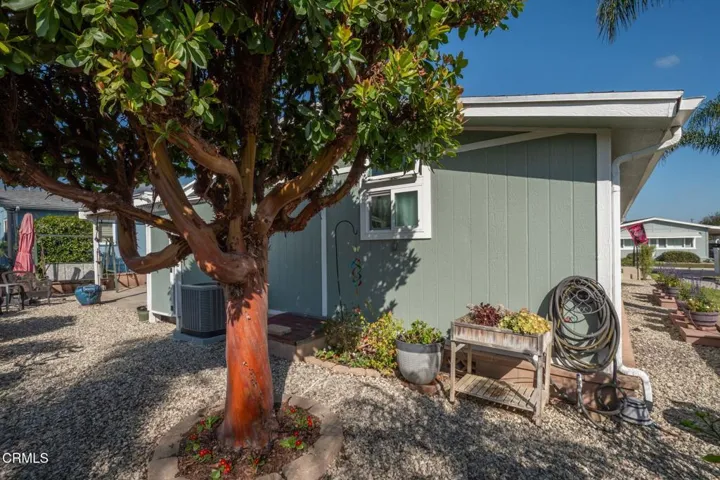 Low maintenance yard