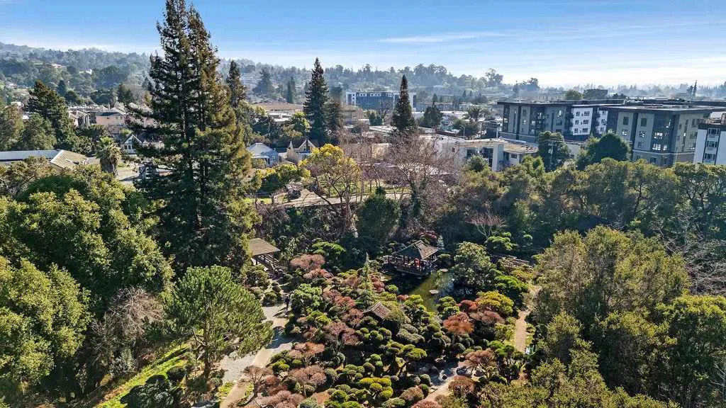 Aerial Japanese Garden 2