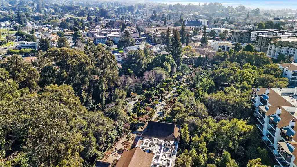 Aerial Japansese Garden 3
