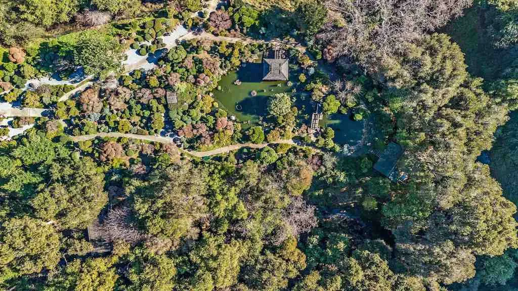 Aerial Japanese Garden 1