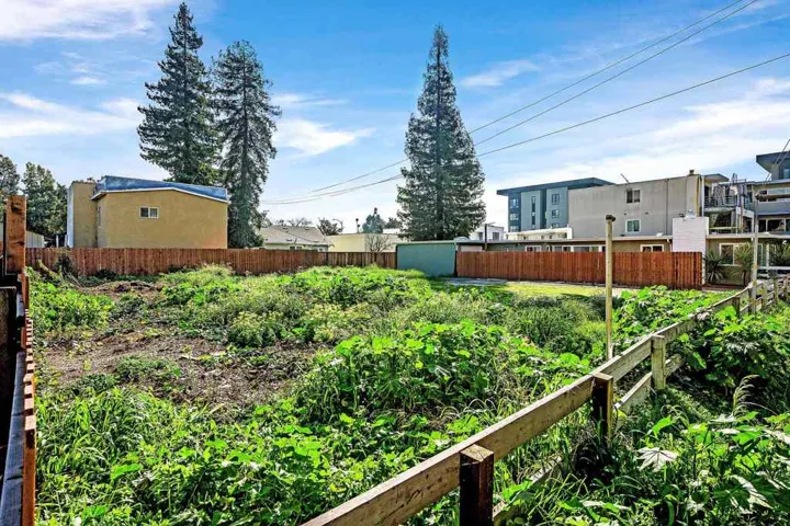 Left side near fence