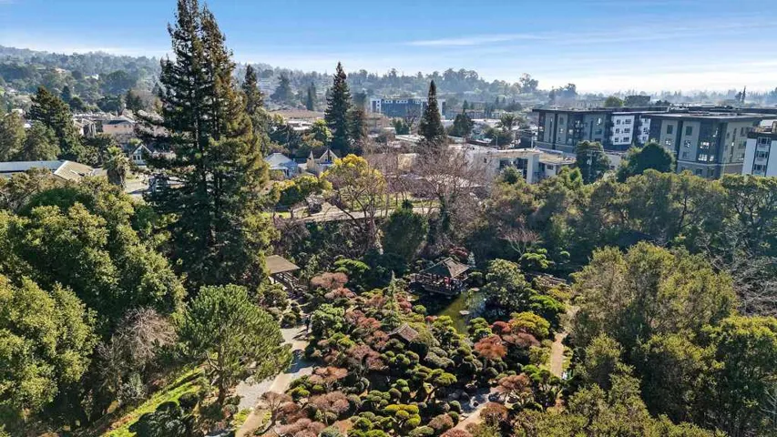 Aerial Japanese Garden 2