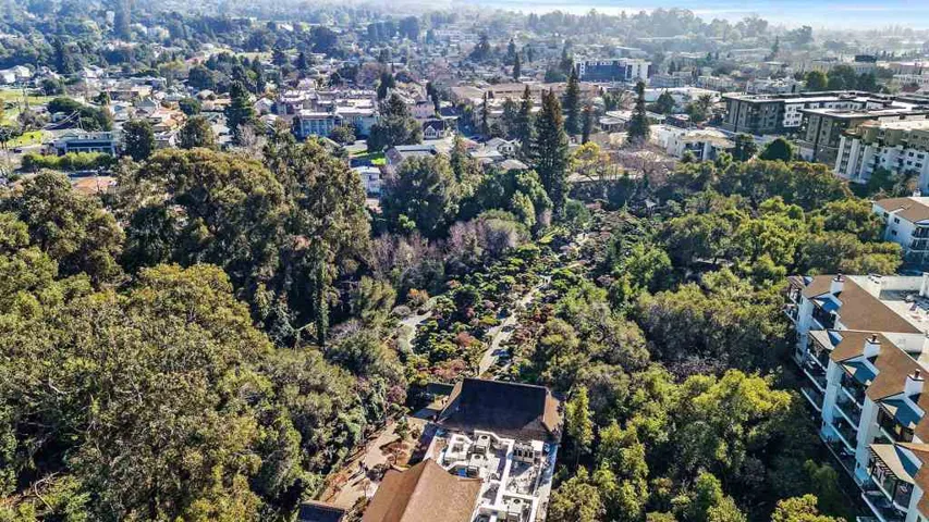 Aerial Japansese Garden 3