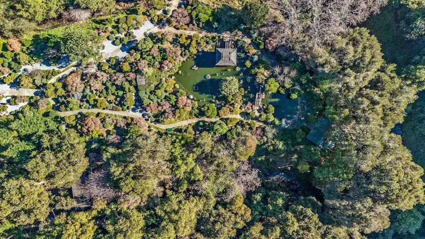 Aerial Japanese Garden 1