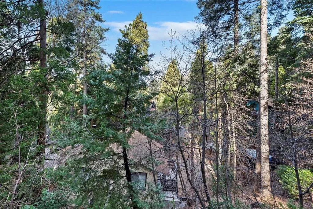 810 Oakmont Lane, Lake Arrowhead, California 92352 home-pic-44