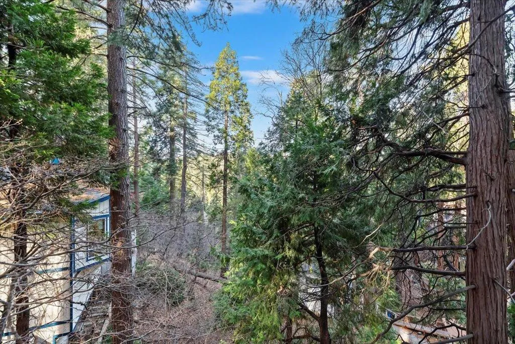 810 Oakmont Lane, Lake Arrowhead, California 92352 home-pic-37