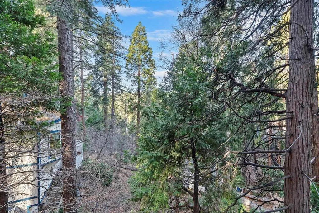 810 Oakmont Lane, Lake Arrowhead, California 92352 home-pic-38