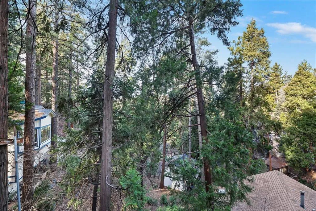 810 Oakmont Lane, Lake Arrowhead, California 92352 home-pic-39