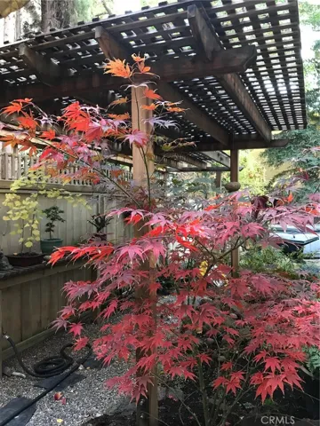 Japanese garden area, photo provided by Seller