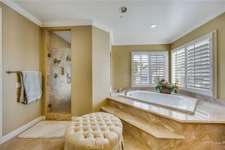 Master shower and tub