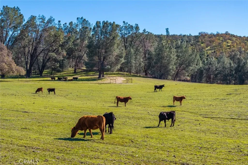 535 Calf Canyon Highway, Creston, California 93432 home-pic-75