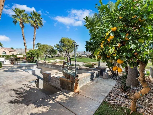 65-Fruit Trees
