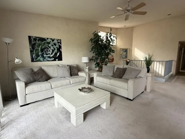 image6 (1)