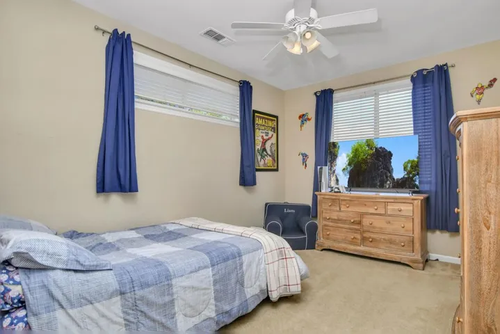 Bedroom featuring carpet floors, multiple windows, and ceiling fan