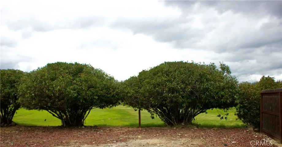 Backyard has a nice view of the 17th Fairw