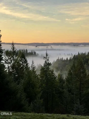 Morning Calm