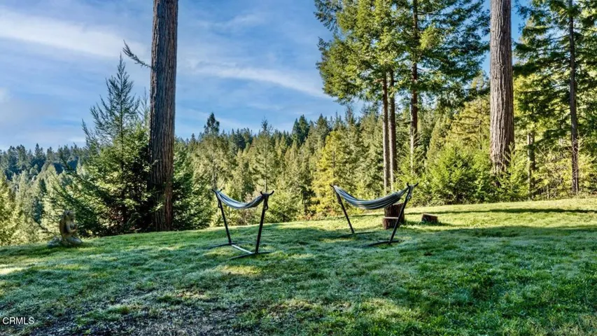 Lawn Area