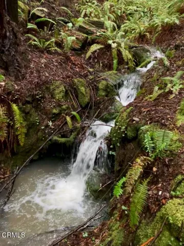 Seasonal Stream