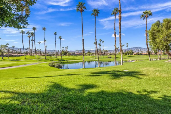 20-web-or-mls-2H8A2979