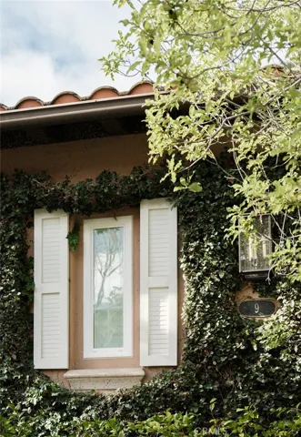 Front of home window with shutters and vines