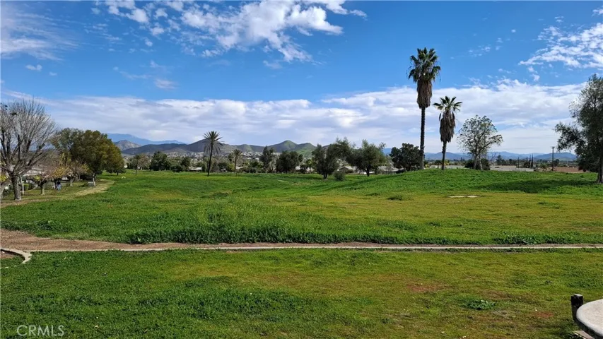 VIEW FROM REAR PATIO