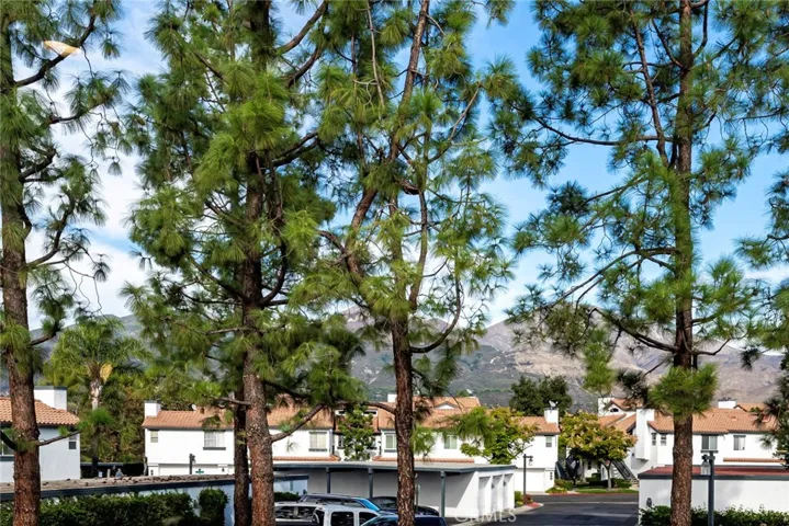 View from the unit