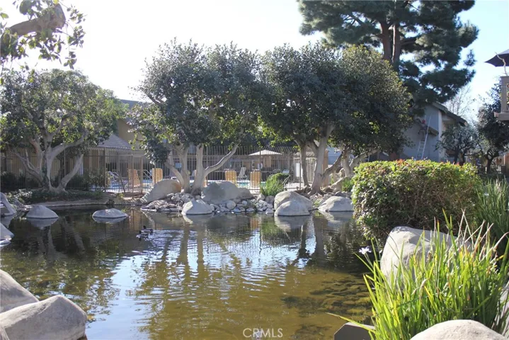 Another view of the pool from across the pond