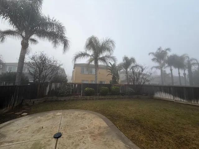 View of fenced backyard