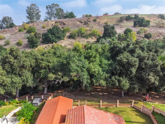 Private oasis backyard with lush trees.