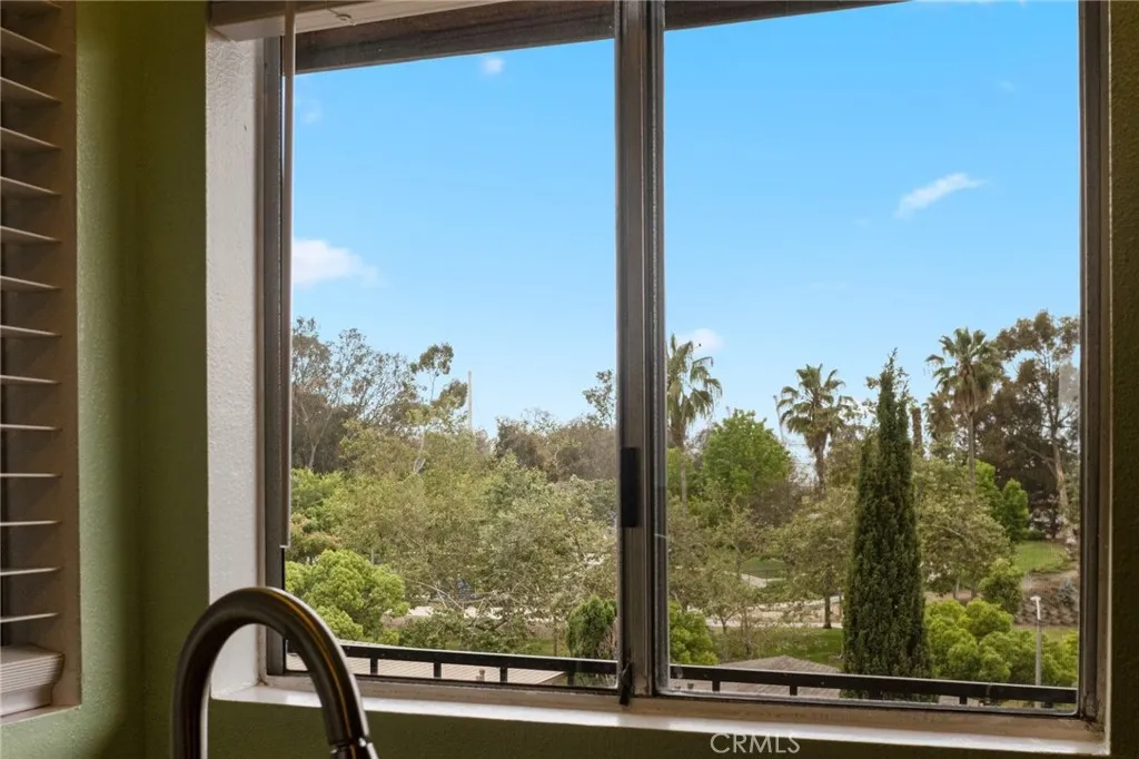 park view from kitchen window