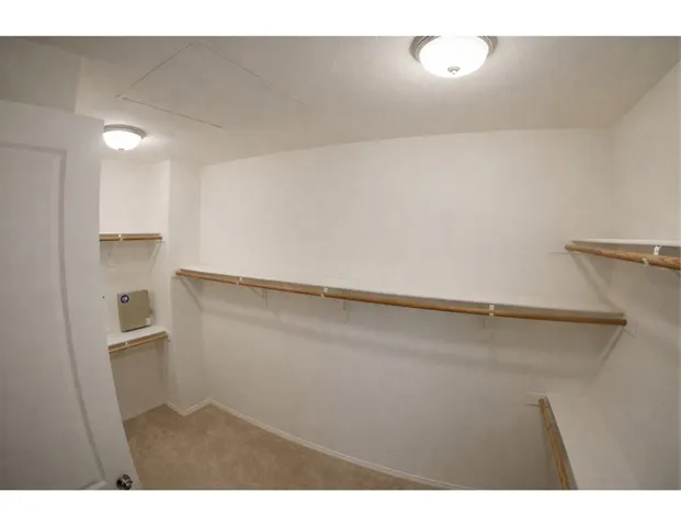 Master Walk in Closet