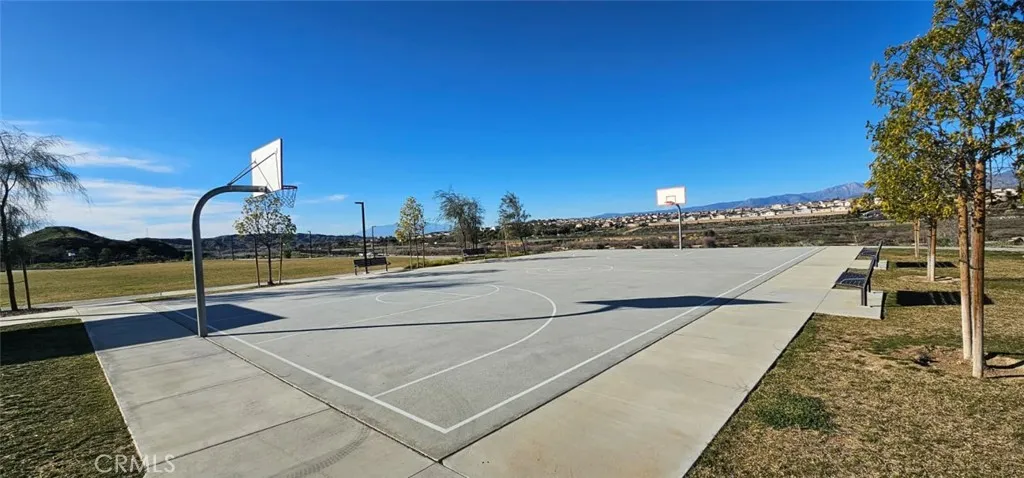BasketBall Court
