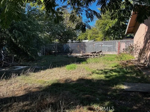 back yard