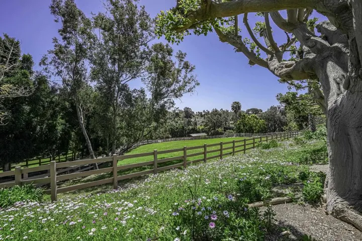Great glimpse of the upper pasture