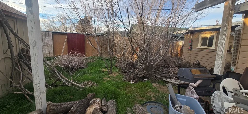 Back yard section