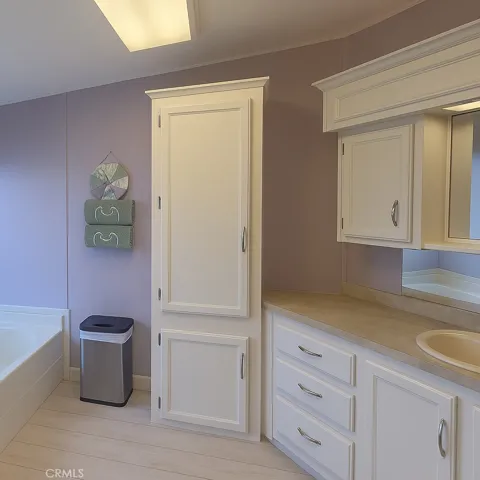 MASTER BATHROOM DECLUTTERED WITH AI